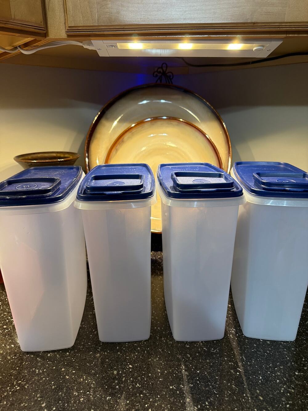 Vintage Tupperware Cereal Container